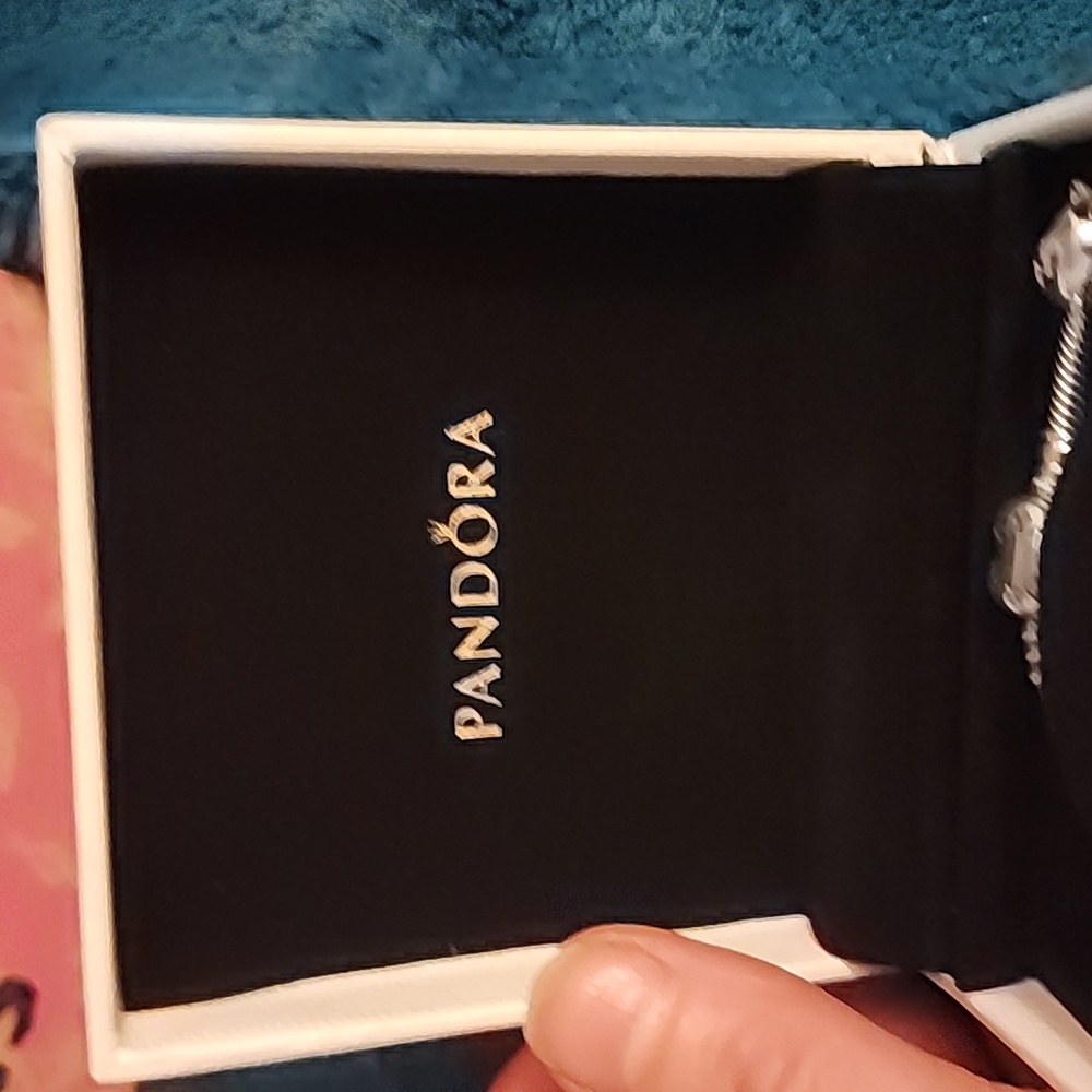 PANDORA - Picture 2 of 6